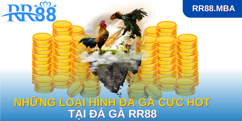 Những điểm thu hút tại sân chơi đá gà RR88