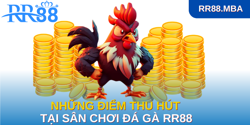 Những điểm thu hút tại sân chơi đá gà RR88